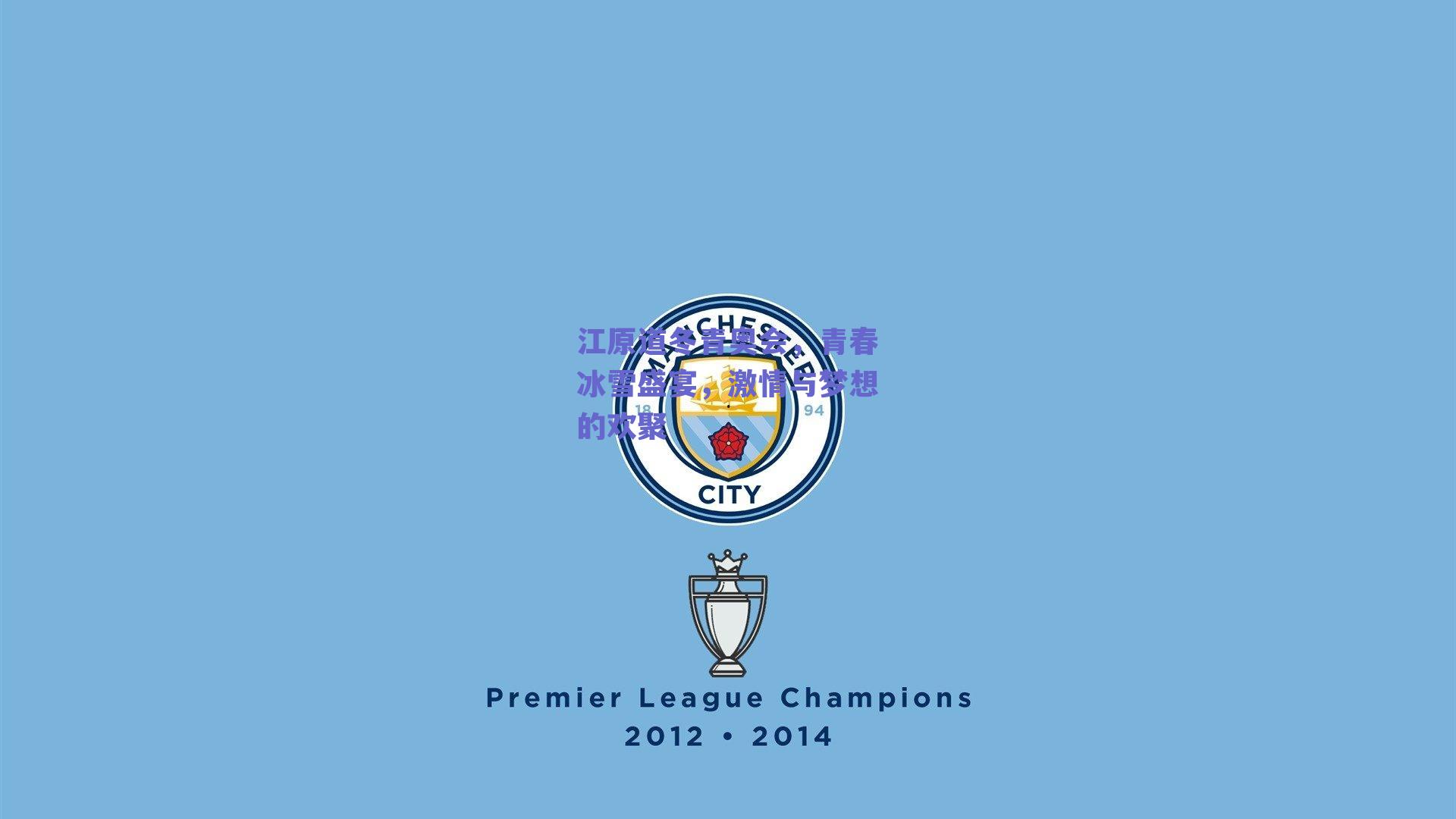 江原道冬青奥会，青春冰雪盛宴，激情与梦想的欢聚