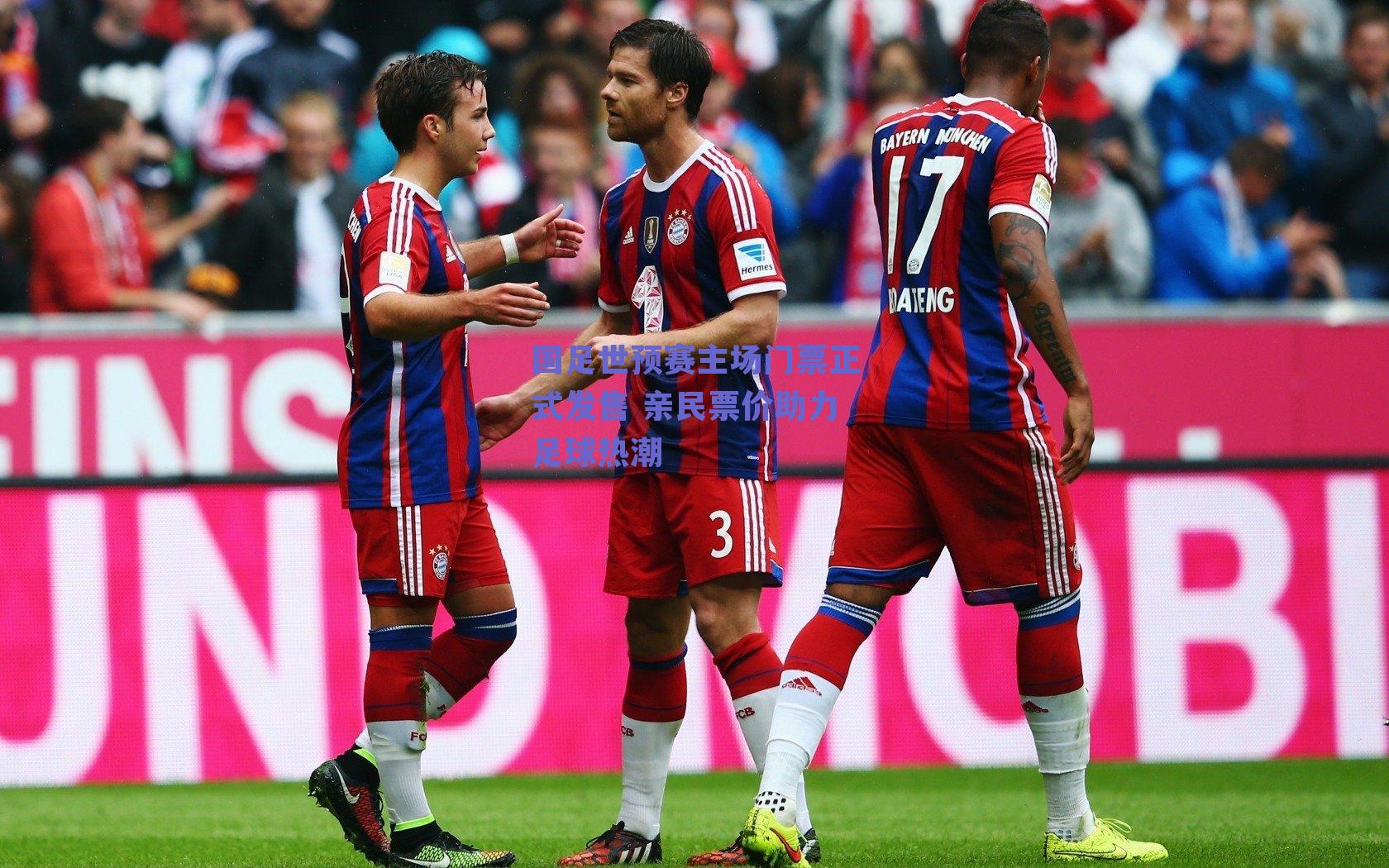 国足世预赛主场门票正式发售 亲民票价助力足球热潮