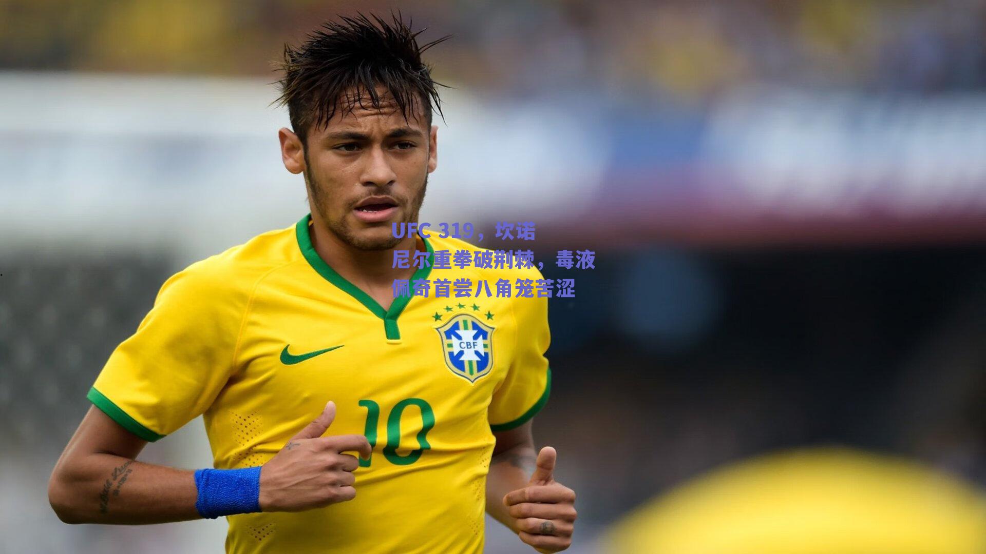 UFC 319，坎诺尼尔重拳破荆棘，毒液佩奇首尝八角笼苦涩